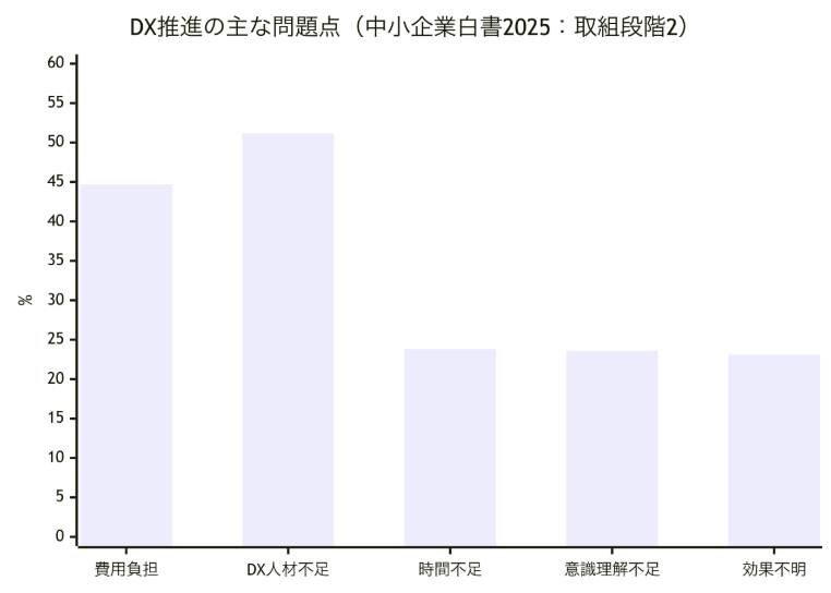 DX推進の主な問題点を示す棒グラフ。DX人材不足が約51%で最多、次いで費用負担が約45%、時間不足・意識理解不足・効果不明が約23〜24%